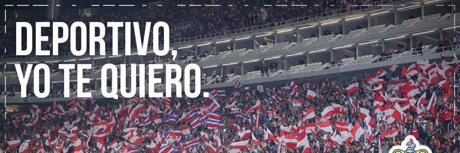 Rojo banner