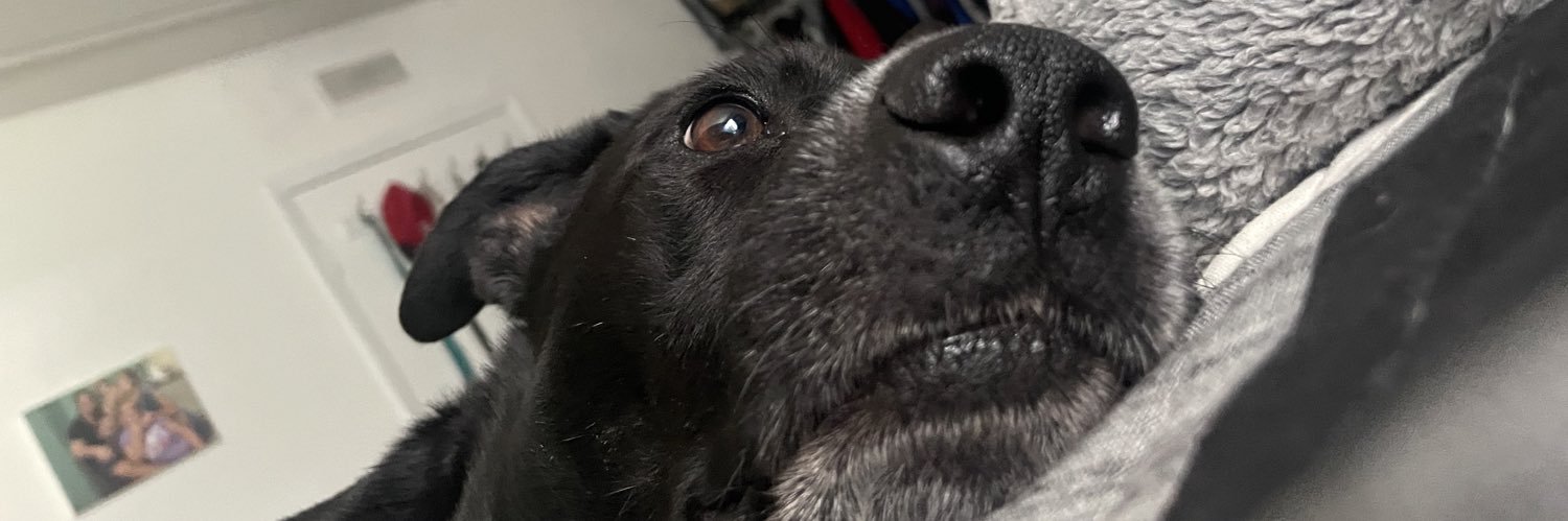 sannjorgito's profile banner image