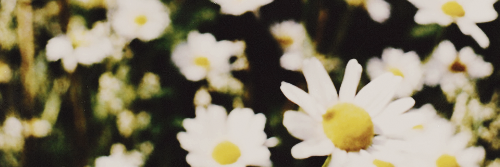 TashaSebestt's profile banner image