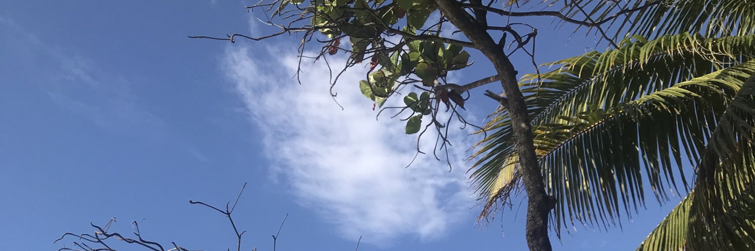 __marceescobar's profile banner image
