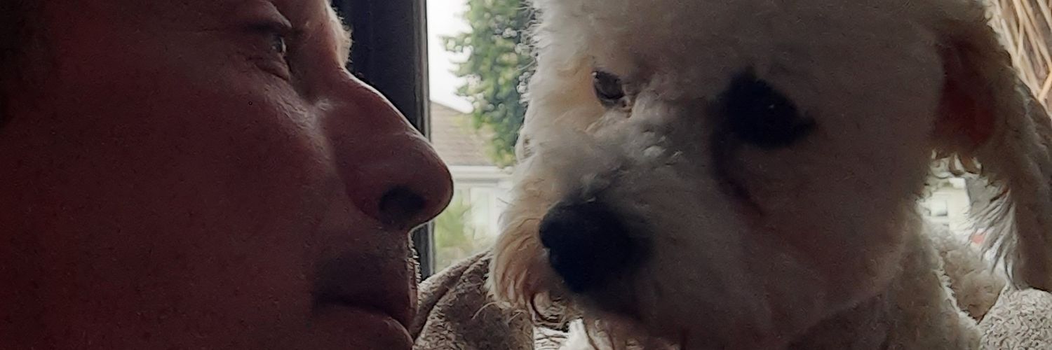 John Mcc 🙋➕️🐶 Buddy. 💚☘️'s banner