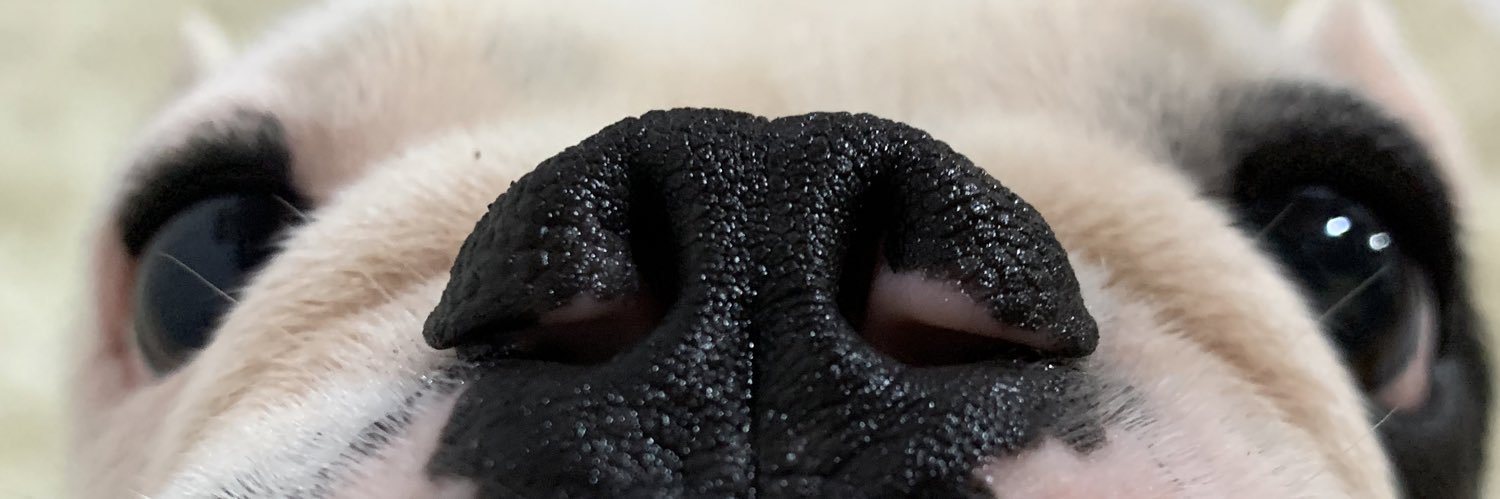 LoyaltManu's profile banner image
