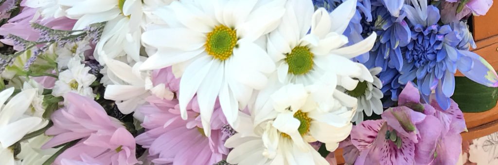 AllieCarder's profile banner image
