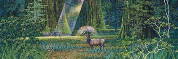 fwnlofi Profile Banner