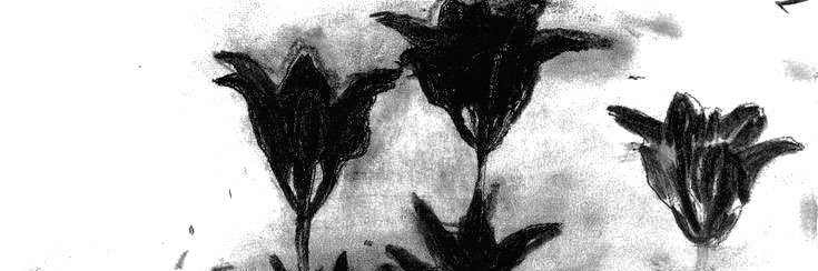 minsungueira's profile banner image