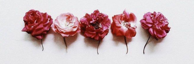 NatalieRegula8's profile banner image