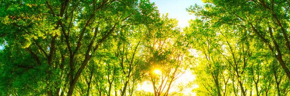 SoNovel_'s profile banner image