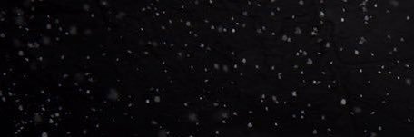 spookyxfiles's profile banner image