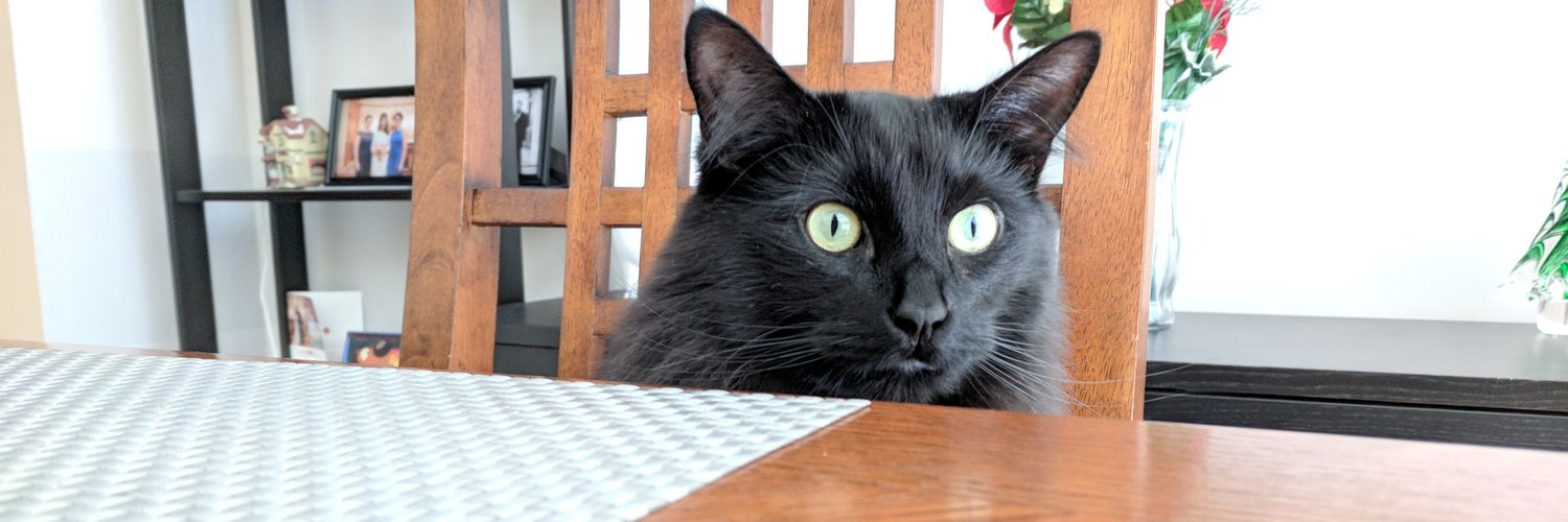 Senior_Senor's profile banner image