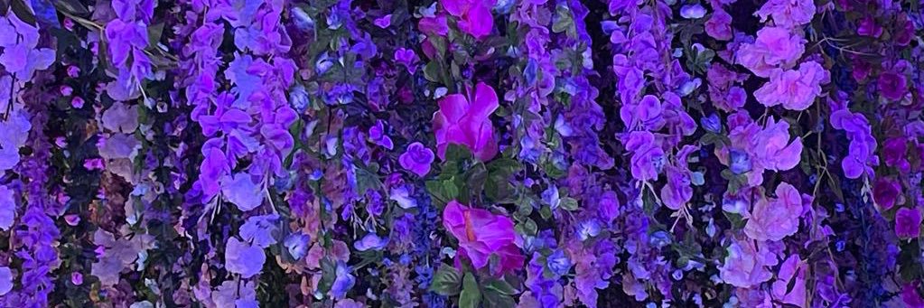 Mariee_Rain's profile banner image