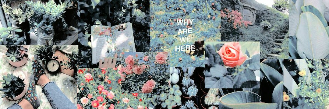 danieblle's profile banner image