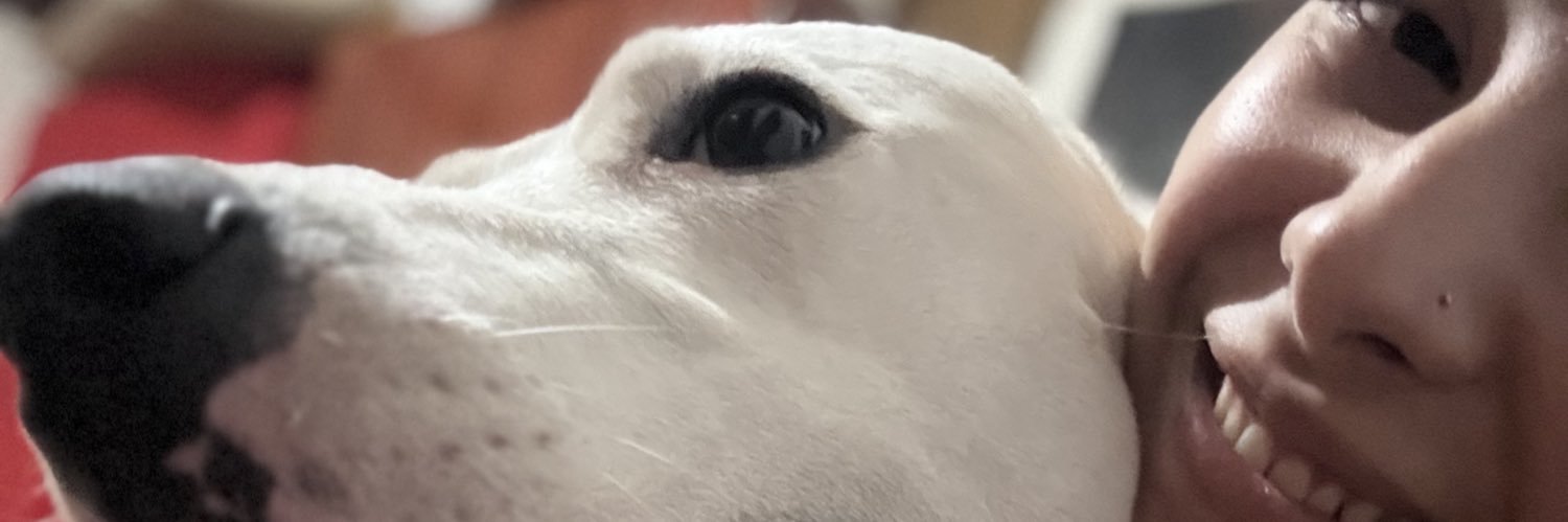 YEchevarne's profile banner image