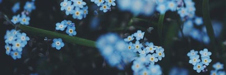 (⁠・⁠–⁠・⁠;⁠)⁠ゞ banner
