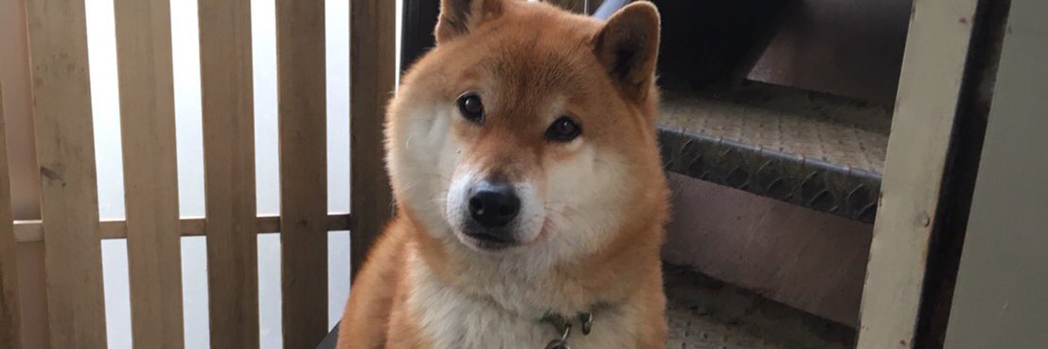 Freeeed0m's profile banner image