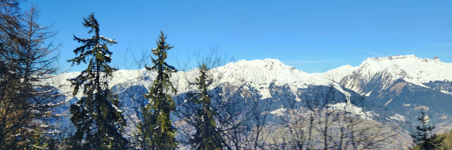 ZilviaCM's profile banner image
