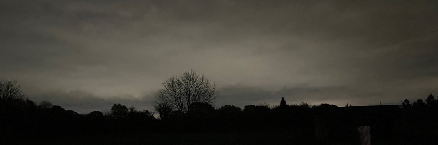 NerimaTeaClub's profile banner image
