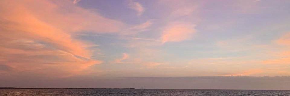 sam_aileen's profile banner image