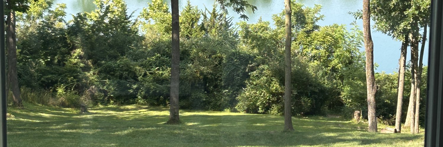 jodi_day's profile banner image