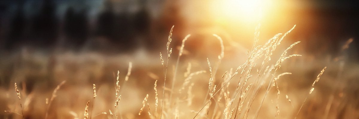 always_rissa's profile banner image