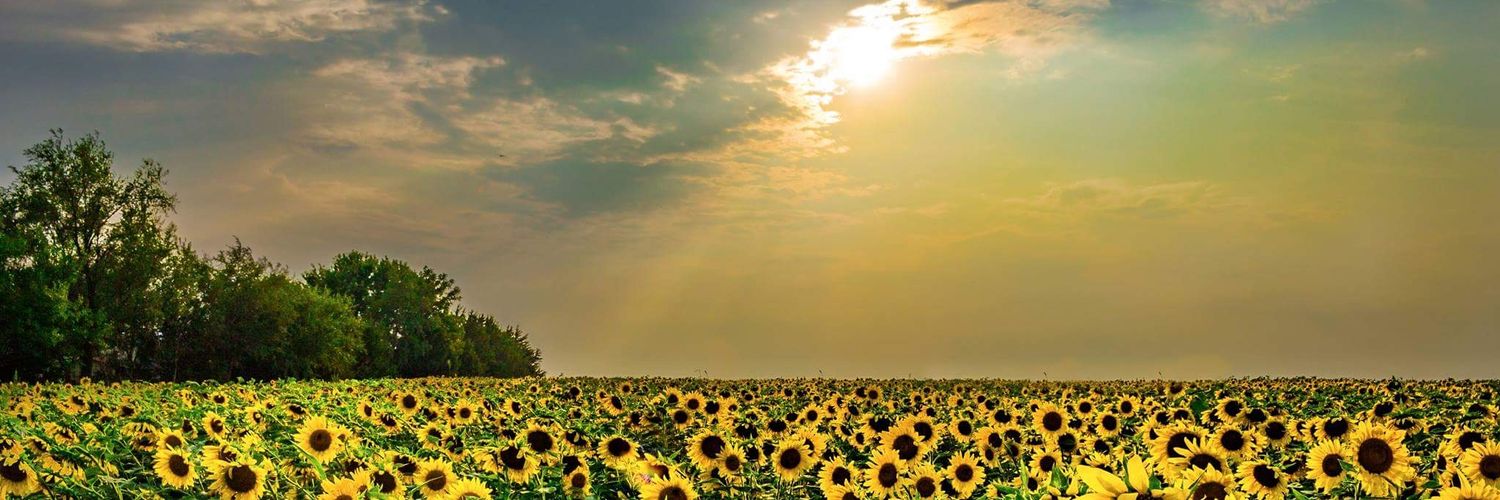 Van Gogh Research banner