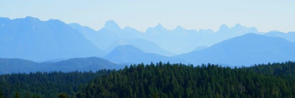 OdetteAuger Profile Banner