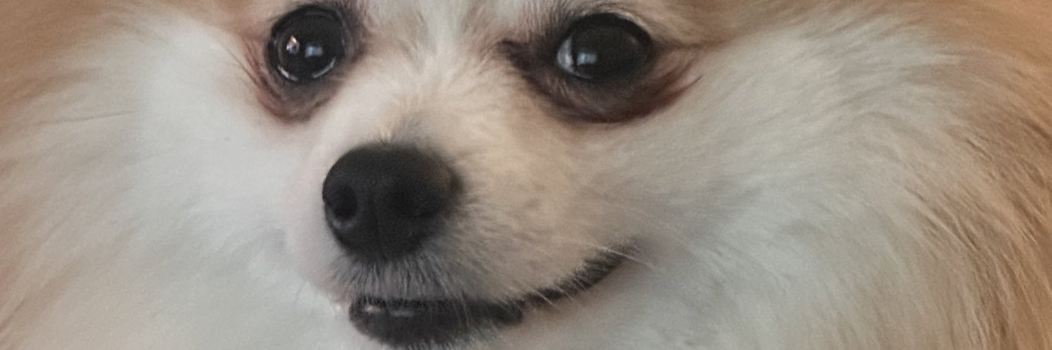 shadman_chowder's profile banner image