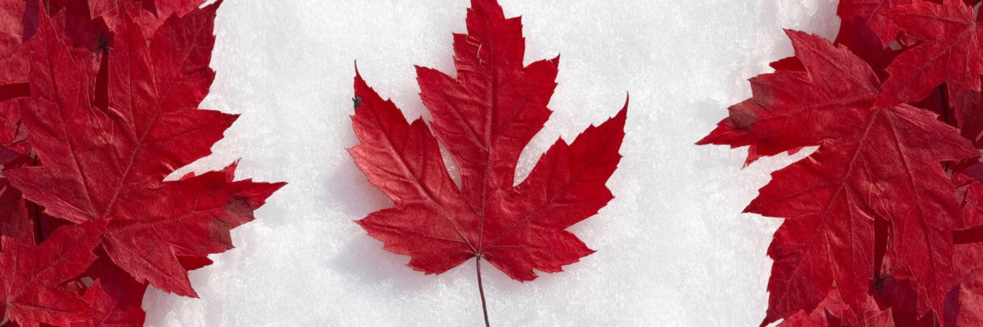 parnoldontario's profile banner image