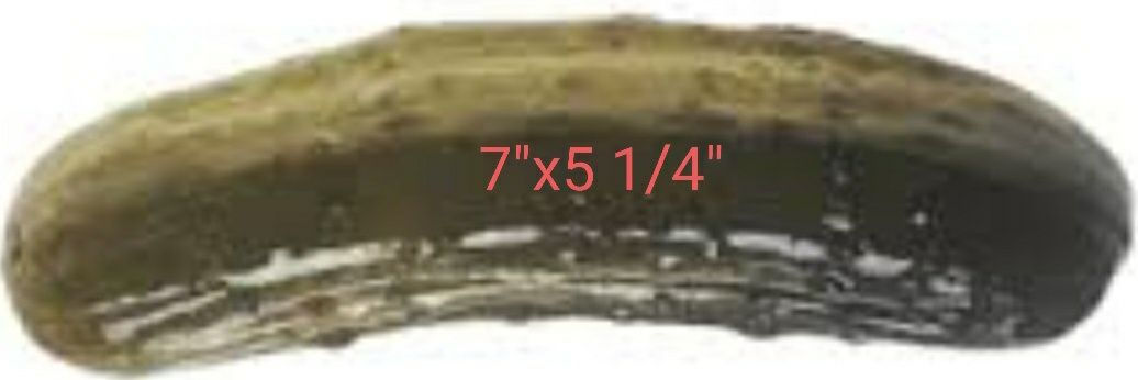 Turtle The Fam banner