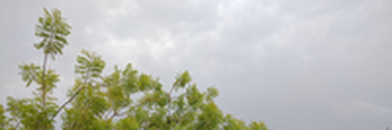 theluismorge's profile banner image