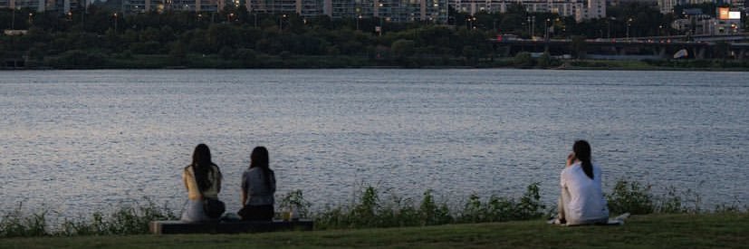 liylilac's profile banner image