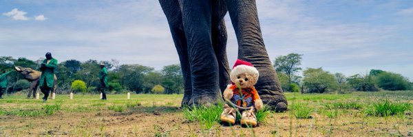 bubithebear Profile Banner