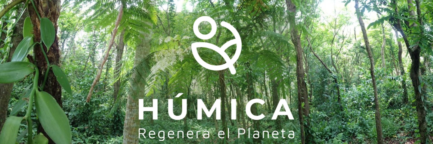 coco_pechuga's profile banner image
