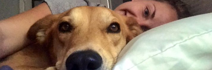 maesynries's profile banner image
