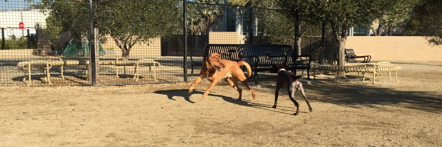 RexfordPooch's profile banner image
