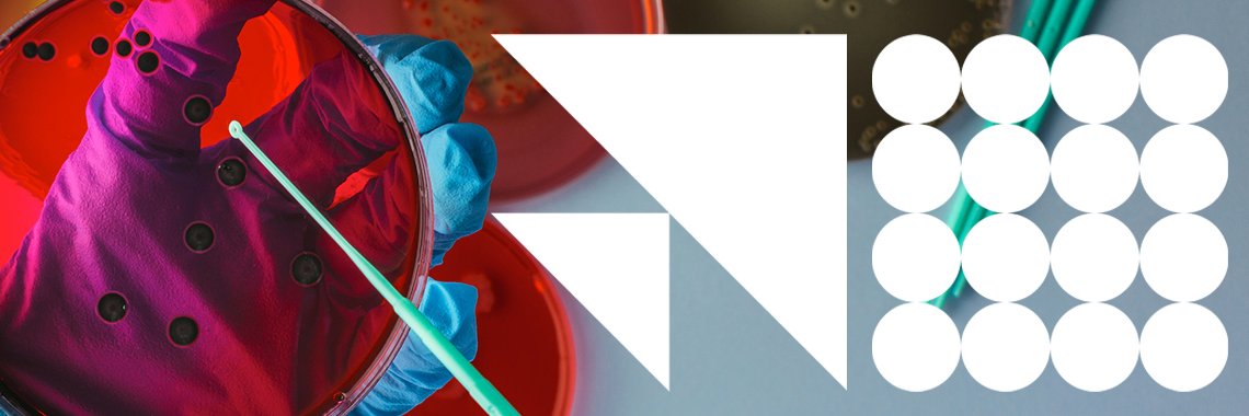 Seção RS do PMI banner