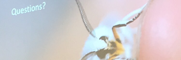 internetmidge's profile banner image
