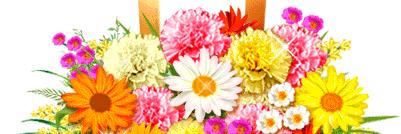 Emma Perez banner