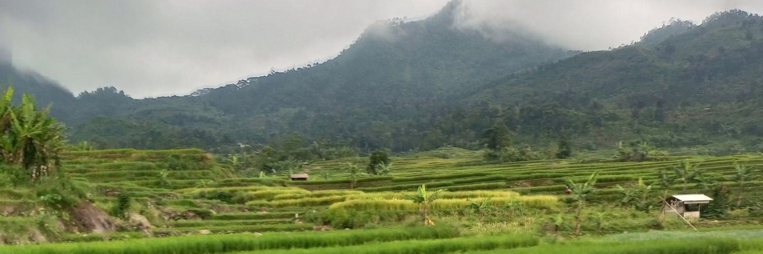 afrindo3's profile banner image