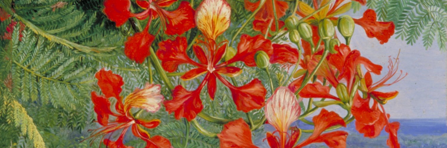 Deb (parody) #LeagueOfDifficultWomen 🌈🥄🦓 🧬 banner