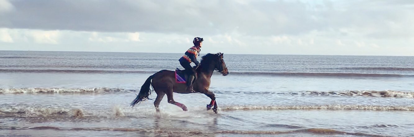 Miss Sparkle✨ banner