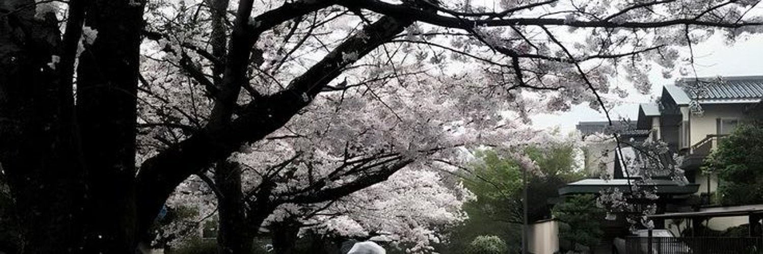 soursichigo's profile banner image