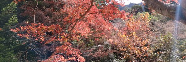 tairaengineer2 Profile Banner