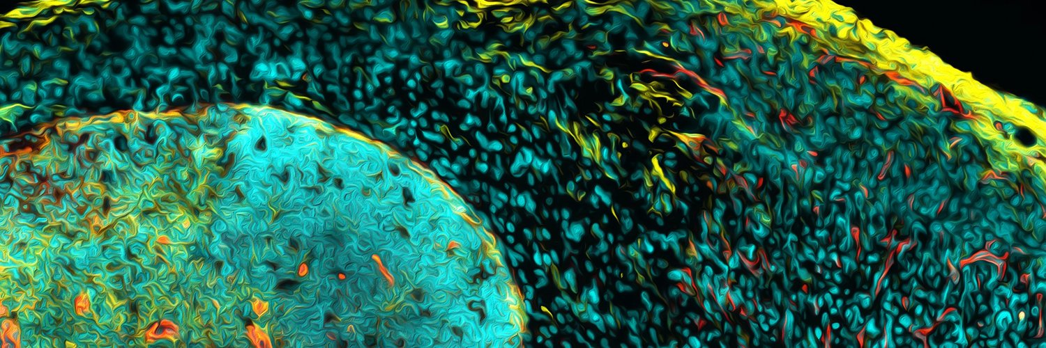 HI-STEM - Cancer and Stem Cells in Heidelberg's banner