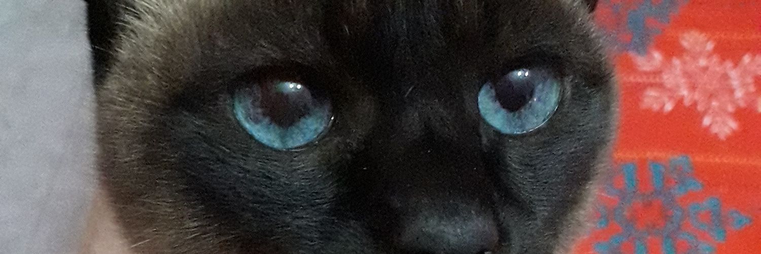 jess_1086's profile banner image