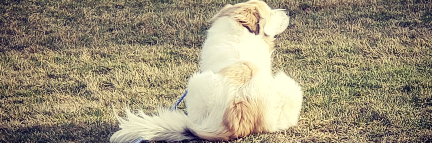 Kelliem1978's profile banner image