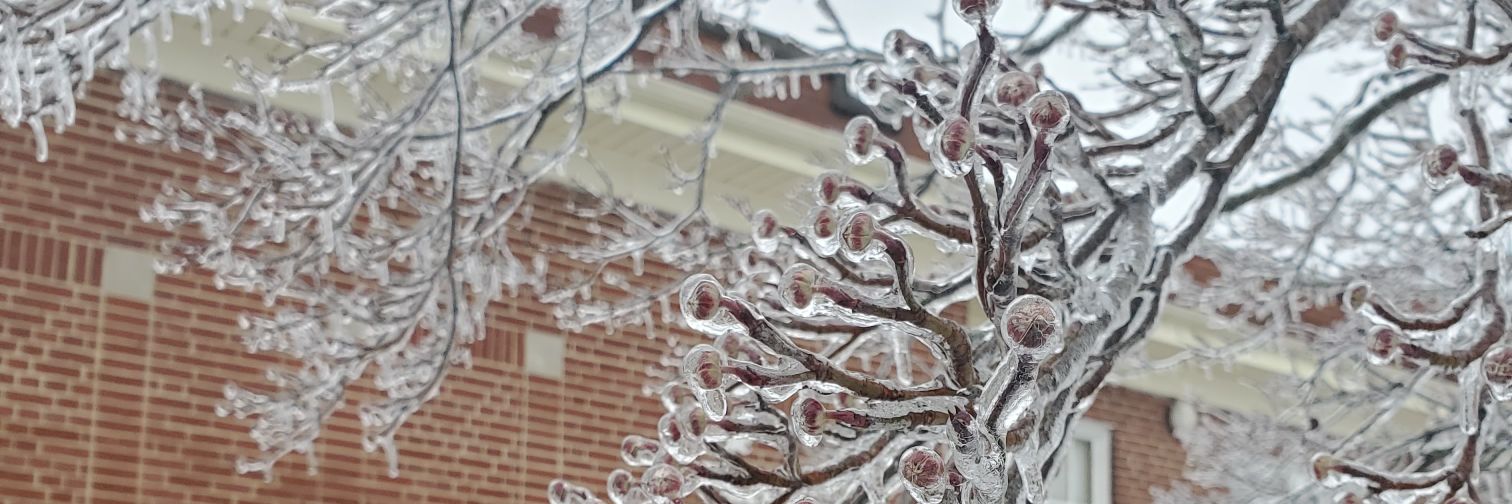 Richard Mansell banner