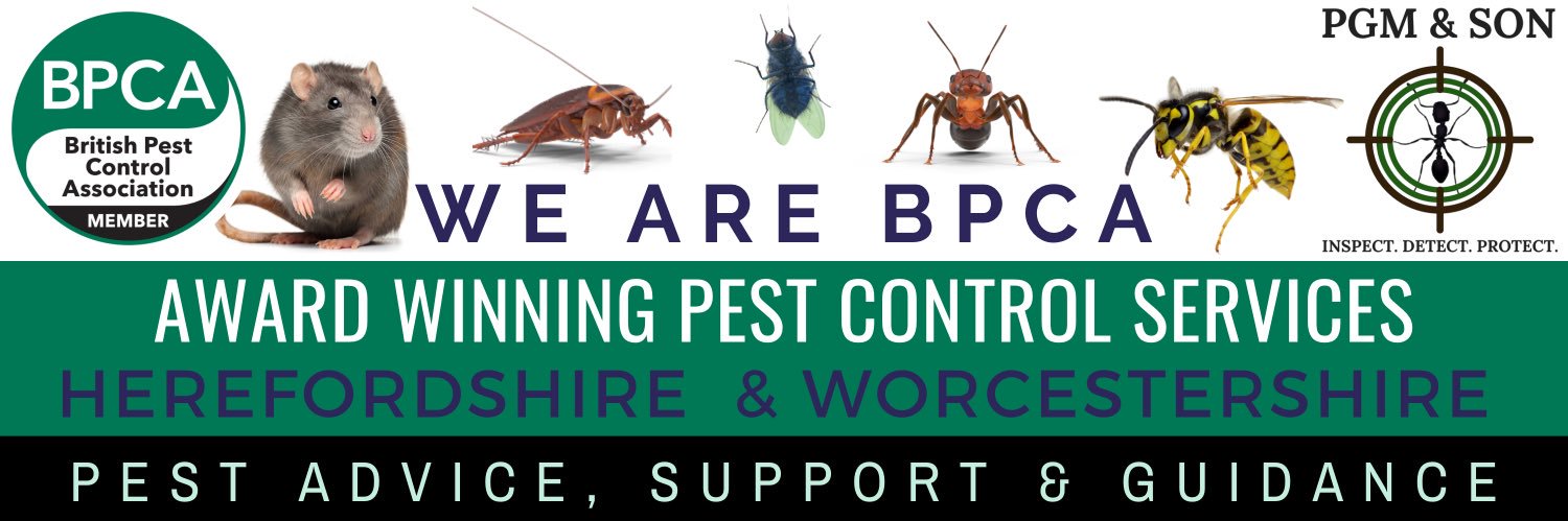 PGM & Son Pest Control Services banner