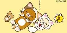 くまくま banner