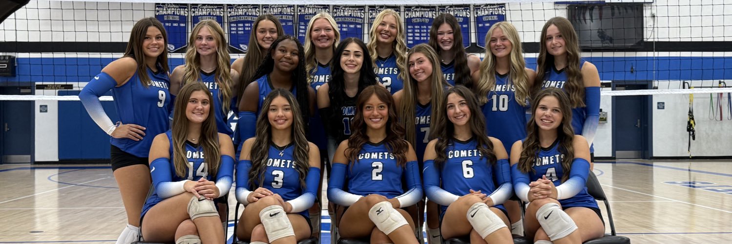 WLHS Comet Volleyball banner