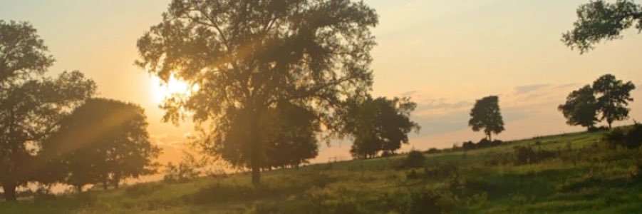TylerVanecek's profile banner image